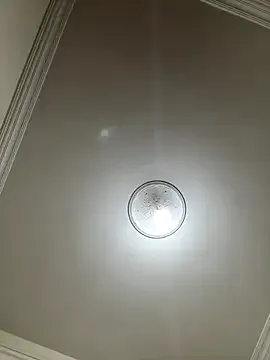 Olivija2020 – webcam model profile photo Image 19