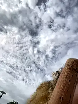 KrissyQueen – webcam model profile photo Image 14