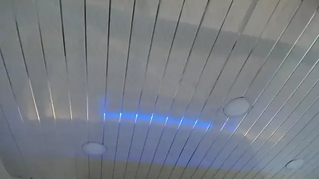 SelennaMoon – webcam model profile photo Image 19