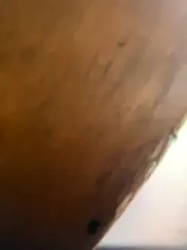 ANGELALADI – webcam model profile photo Image 7