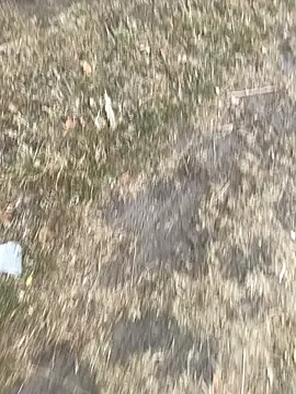 SofiaSins – webcam model profile photo Image 6