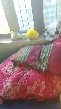 UKRaunchyRobyn – webcam model profile photo Image 5