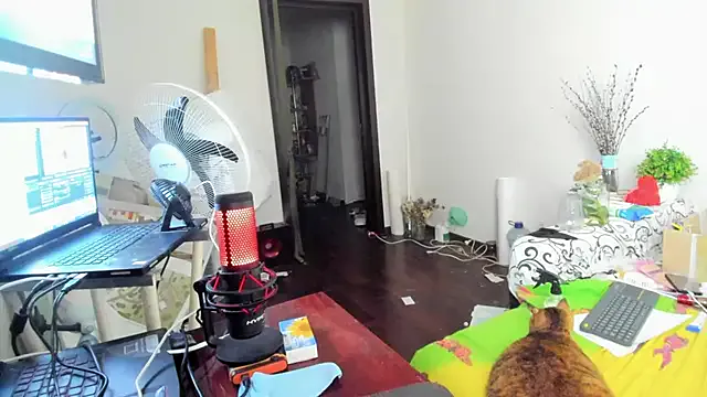 EvaLive1133 – webcam model profile photo Image 18