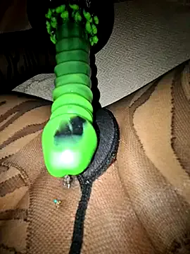 bunny_blonde – webcam model profile photo Image 9