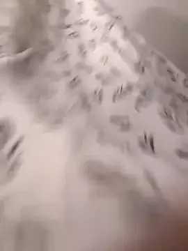 Sexy_Frenchie – webcam model profile photo Image 16