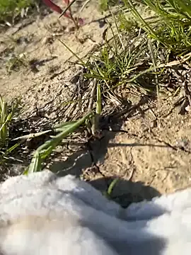 BlondeScarlettx – webcam model profile photo Image 3