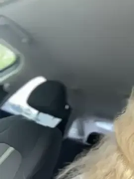 SusyBlair – webcam model profile photo Image 12