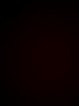 MarilynRainbow – webcam model profile photo Image 6