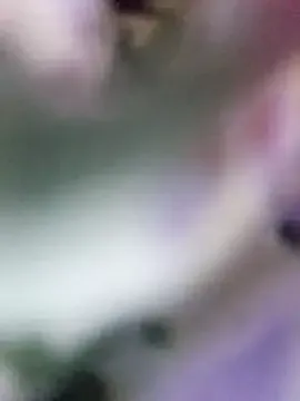 SofiaSins – webcam model profile photo Image 9