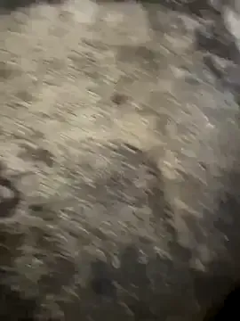 TyleneBuck – webcam model profile photo Image 5