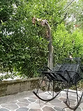 pretur_crubaa – webcam model profile photo Image 3