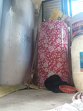 DaryaStars – webcam model profile photo Image 8