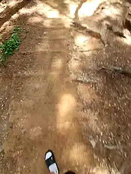 guntermeiner – webcam model profile photo Image 15